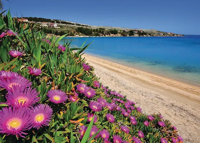 Daire Beautiful In Pag *